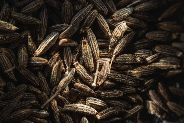 Ein Haufen ganzer Kreuzkümmelsamen, welche im Ayurveda ein beliebtes Gewürz für Agni, das Verdauungsfeuer, sind